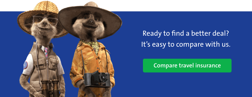 compare travel insurance