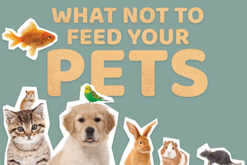 What not to feed your pets.
