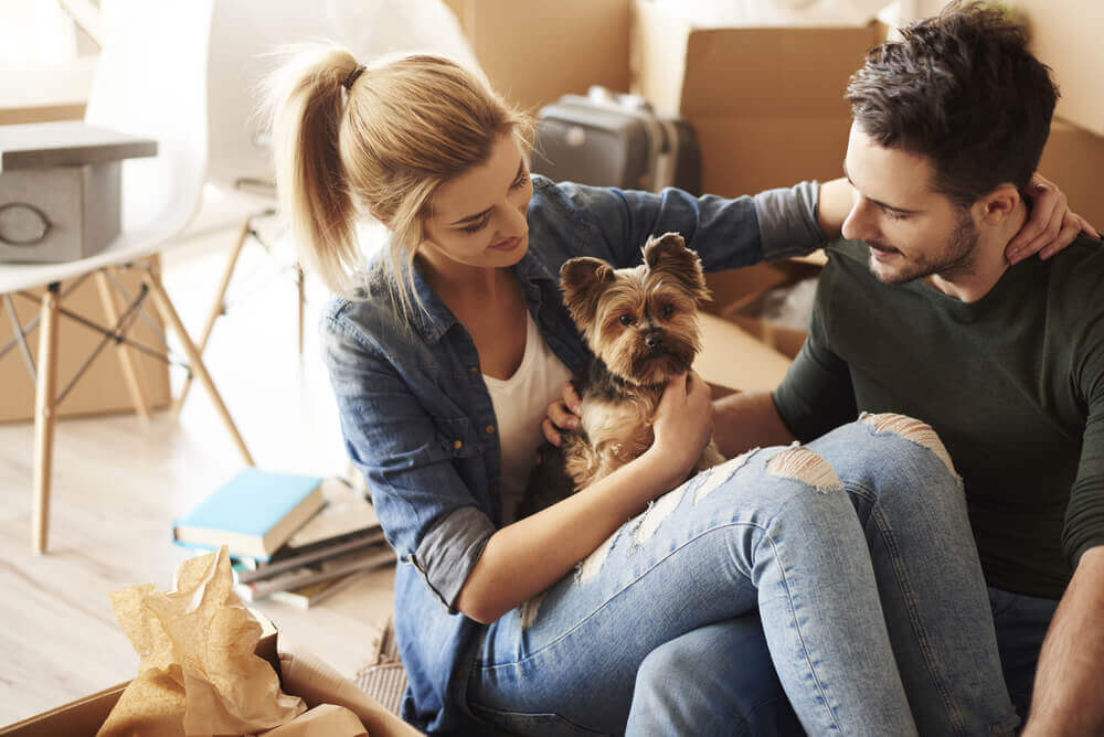 A couple petting a yorkshire terrier dog.