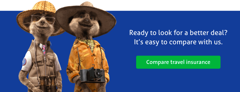 compare travel insurance