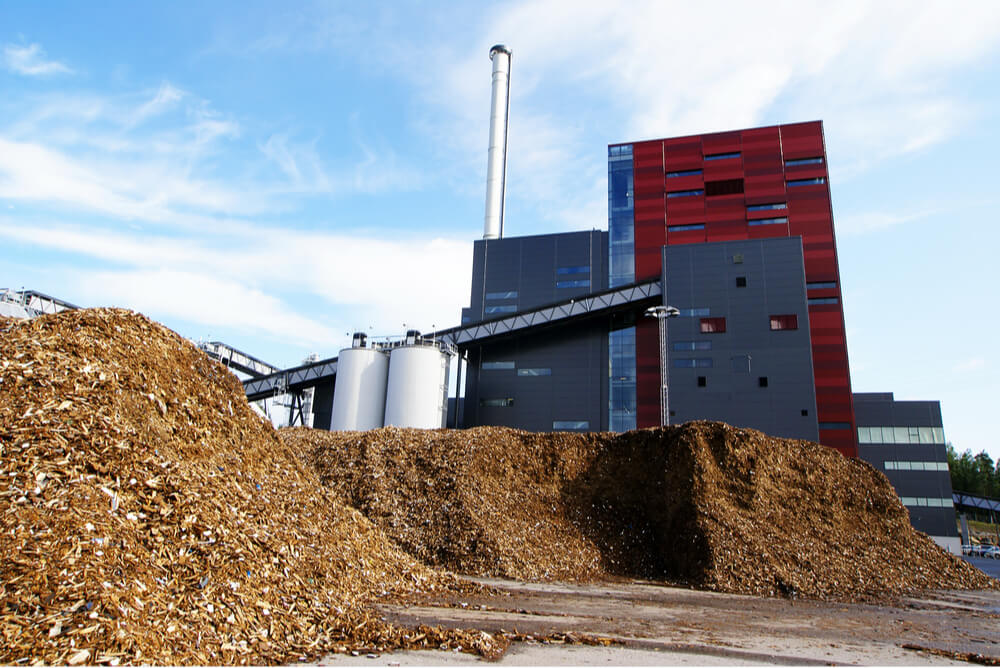 biomass ready to be turned into energy at power plant