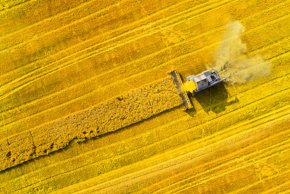a combine harvester gathering biomass to create green energy