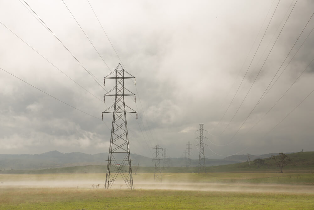 Tasmanian power poles in a rainy day
