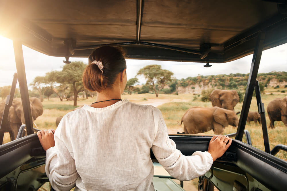 a woman on safari looking at elephants