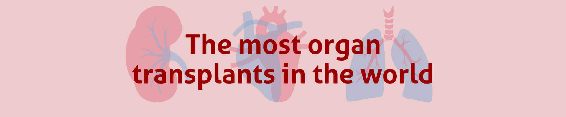 The most organ transplants in the world