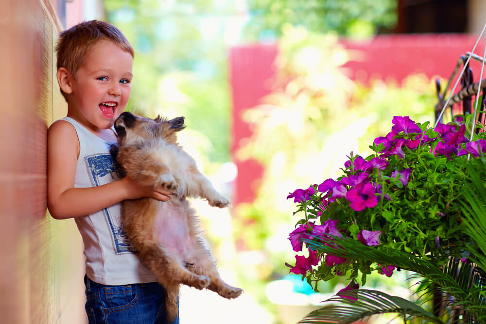 excited child with a puppy